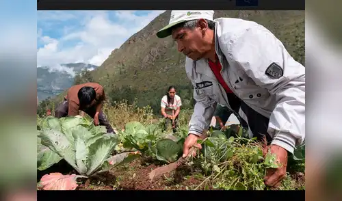 Perú es uno de los países más vulnerables al Cambio Climático elpopular.pe