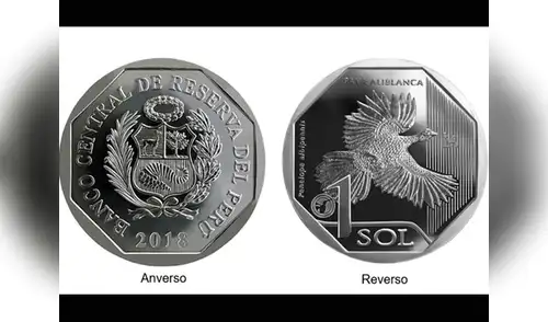 La Pava Aliblanca es una especie del norte del Perú elpopular.pe