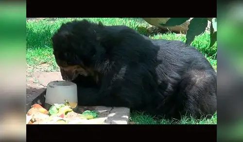 elpopular.pe elpopular.pe