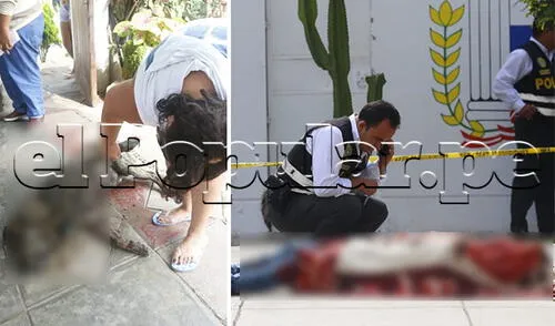Joven y perro son acribillados en parque del Callao elpopular.pe