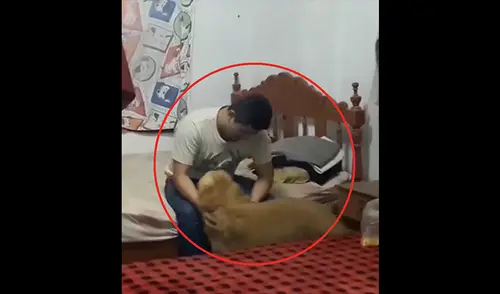 PNP Elvis Miranda Rojas conmueve al reencontrarse con 'Lucas' elpopular.pe