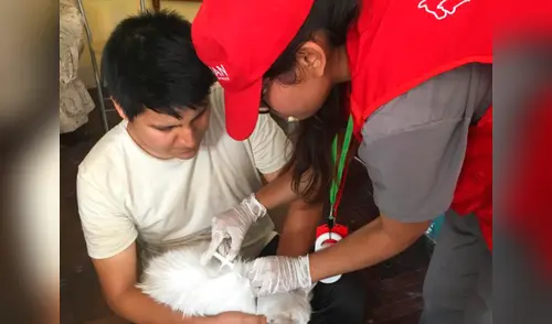 elpopular.pe elpopular.pe