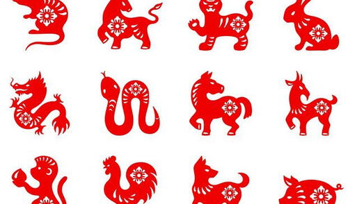 Conoce tu destino elpopular.pe