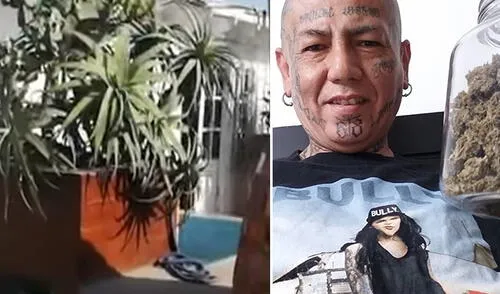 PNP desmanteló laboratorio clandestino de droga en Miraflores elpopular.pe