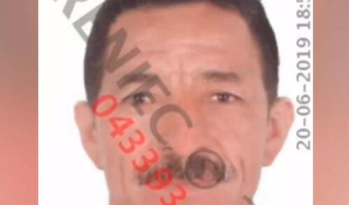 PJ condenó a pescador por extraer y cortar en pedazos a un delfín elpopular.pe