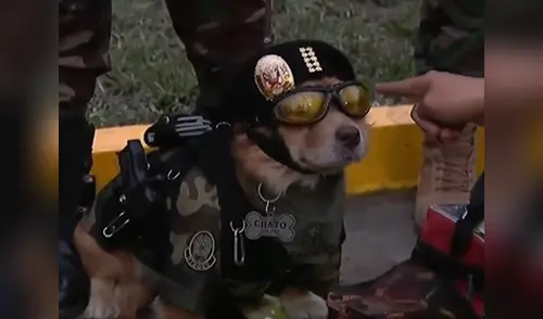 El can de la PNP ha realizado importantes misiones que incluyen salto en paracaídas elpopular.pe