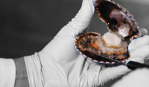 Ministerio de la Producción impone que en el área de producccióm San Lorenzo elpopular.pe