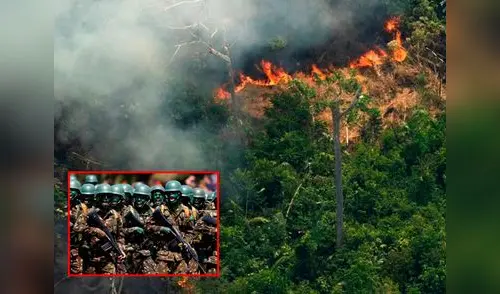 Fuerzas Armadas llegan al Amazonas para detener el fuego tras 20 días de incendios elpopular.pe