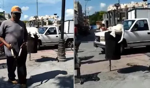 Crueldad en contra de perro ha causado rechazo de miles de usuarios en Youtube elpopular.pe