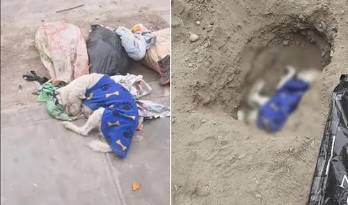 Historia de la partida de un perro callejero es el viral de Facebook elpopular.pe