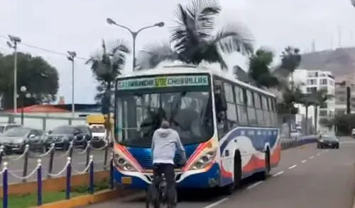 Ciclista reclamó accionar del conductor de la empresa de Transportes Sur Lima por meterse en contra elpopular.pe