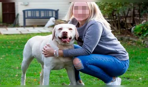 Perrito se ha convertido en pieza clave en la vida de Lucy elpopular.pe