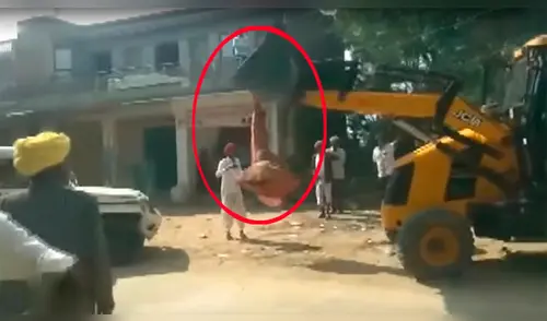 Gobiernos locales realizan campañas para destruir asentamientos, construcciones y viviendas ilegales elpopular.pe