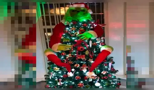 La mujer tardó 3 horas para la elaboración del duende verde elpopular.pe