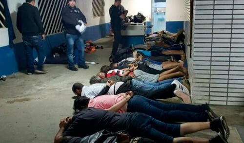 Policía de Brasil detiene a banda criminal que organizaba peleas ilegales de perros pitbull elpopular.pe