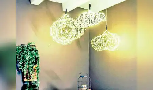 Araña le dará a tu ambiente un aire diferente elpopular.pe