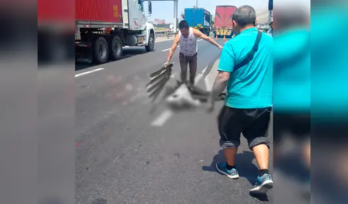 Suboficial de tercera fallece en el acto por la Panamericana del Sur elpopular.pe