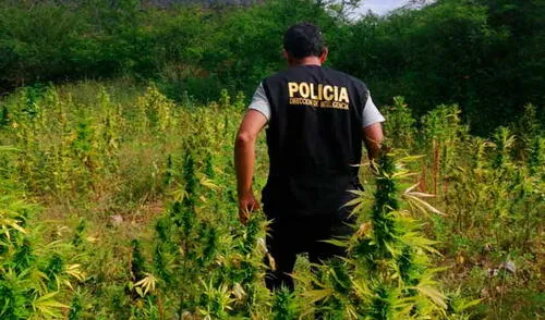 La PNP asegura que será cuestión de horas para la captura de los narcotraficantes elpopular.pe