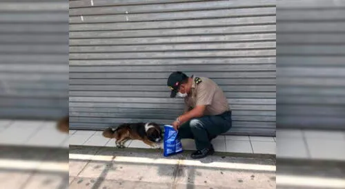 La tierna imagen compartida en Twitter cuenta con cerca de 800 me gusta. elpopular.pe