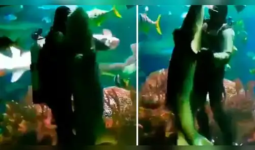 Hombre es tendencia por bailar con tiburón. elpopular.pe