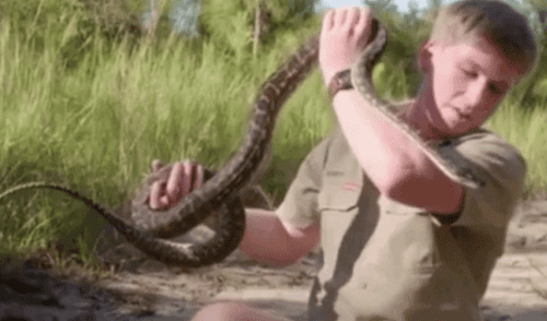 La impactante escena impactó a miles en las redes sociales. elpopular.pe