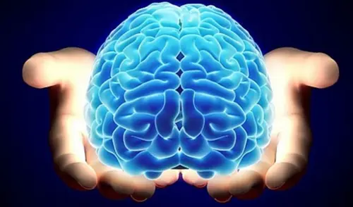 Entérate sobre los últimos estudios más impactantes del cerebro. elpopular.pe