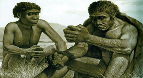 El Homo Habilis fue el primero en crear herramientas de piedra. elpopular.pe