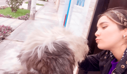 Sufre por su mascota elpopular.pe