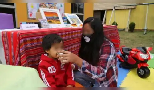 Brinda taller virtual a trabajadores del Inabif elpopular.pe