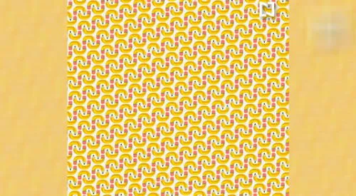elpopular.pe