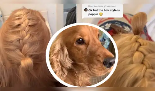 La escena causó sensación en las redes sociales. elpopular.pe