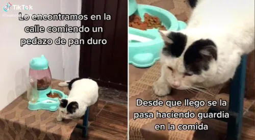 elpopular.pe