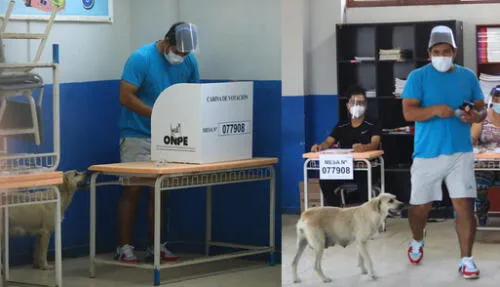 Las imágenes de la carismática perrita han causado sensación en las redes sociales. elpopular.pe