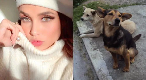 La Miss Perú, Janick Maceta, se unió a la campaña Abriga a un callejerito, que busca apoyar a perros de la estación Naranjal y Los Olivos. elpopular.pe