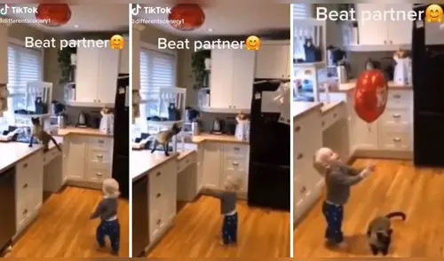 La escena ha cautivado a miles en las redes sociales. elpopular.pe