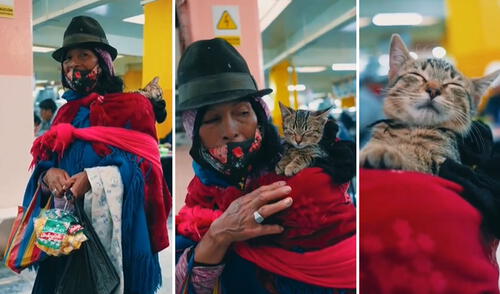 El video se ha vuelto viral en las redes sociales. elpopular.pe