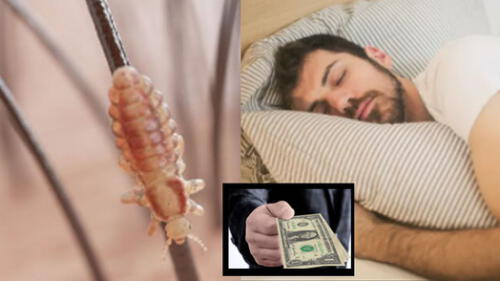 ¿Qué significa soñar con piojos y matarlos? ¿Recibiré dinero? elpopular.pe