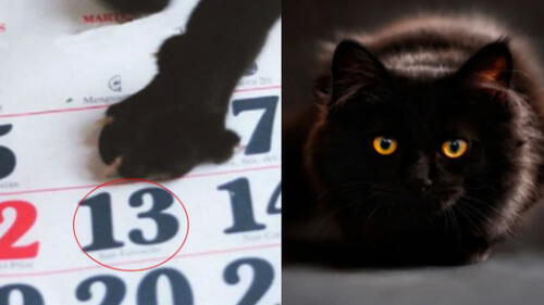 Martes 13: Descubre el origen de la historia y su vínculo con la mala suerte. elpopular.pe