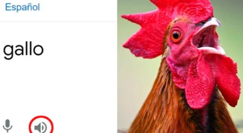 El curioso error ha hecho reír a más de uno en las redes sociales. elpopular.pe