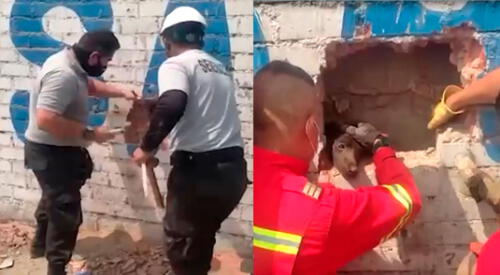 PNP y bomberos rescatan a perrito atrapado elpopular.pe