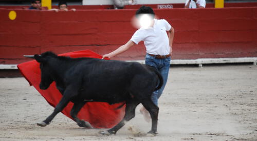 Sentencia prohíbe formación de niños toreros. elpopular.pe