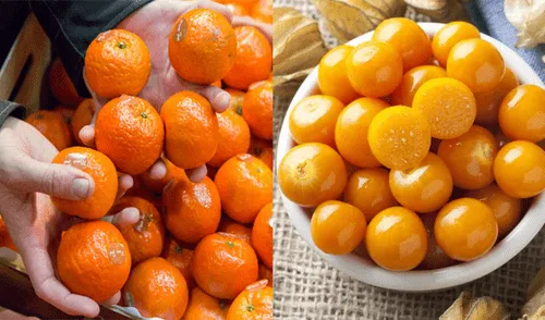 Estos alimentos ayudan a prevenir las enfermedades respiratorias. elpopular.pe