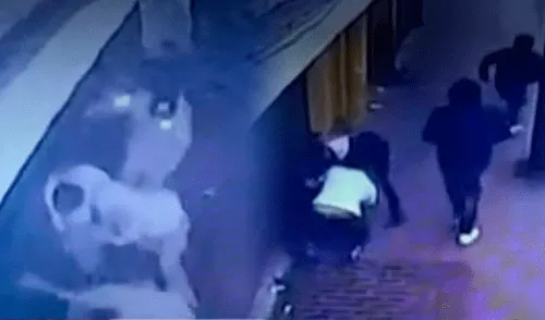 Delincuente no han sido capturados por los agentes policiales elpopular.pe