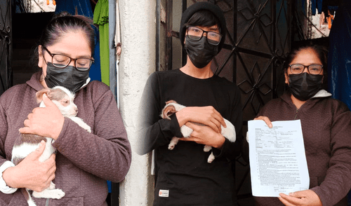 La cachorrita de dos meses fue bautizada como Nova elpopular.pe
