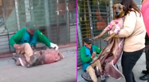 La perrita era golpeada por su dueño en medio de la calle. elpopular.pe