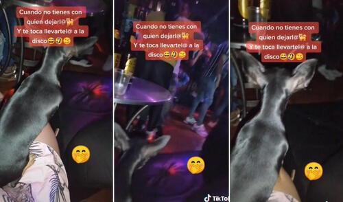 elpopular.pe