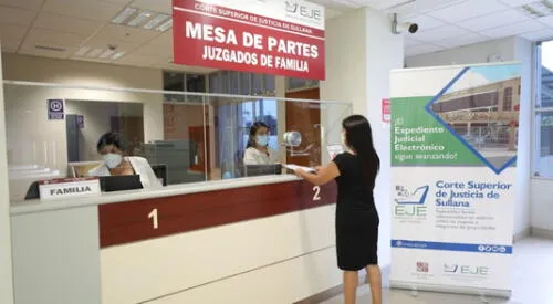 Poder Judicial implementará EJE para procesos de alimentos para menores elpopular.pe