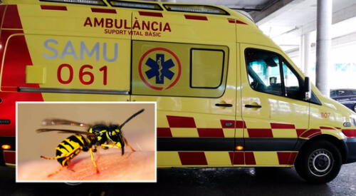 La anafilaxia es la reacción alérgica más grave que existe, y que puede llegar a ser mortal. elpopular.pe