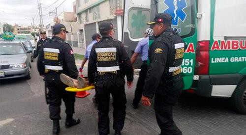 Arequipa: perro pitbull muerde a sereno que intentaba retirar a bebedores elpopular.pe