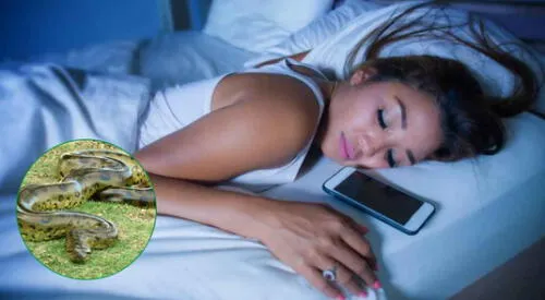 Conoce las diferentes interpretaciones de soñar con serpientes grandes. elpopular.pe